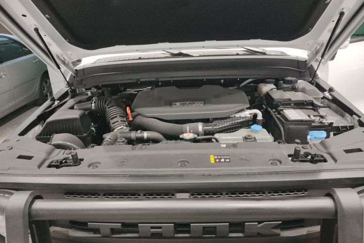 Tank 300 New Energy 2024 car image #20