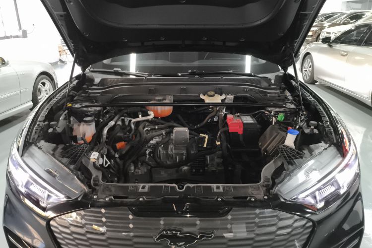 Ford Mustang Mach-E 2023 #20 Ford Mustang Mach-E 2023 immagine di auto #20