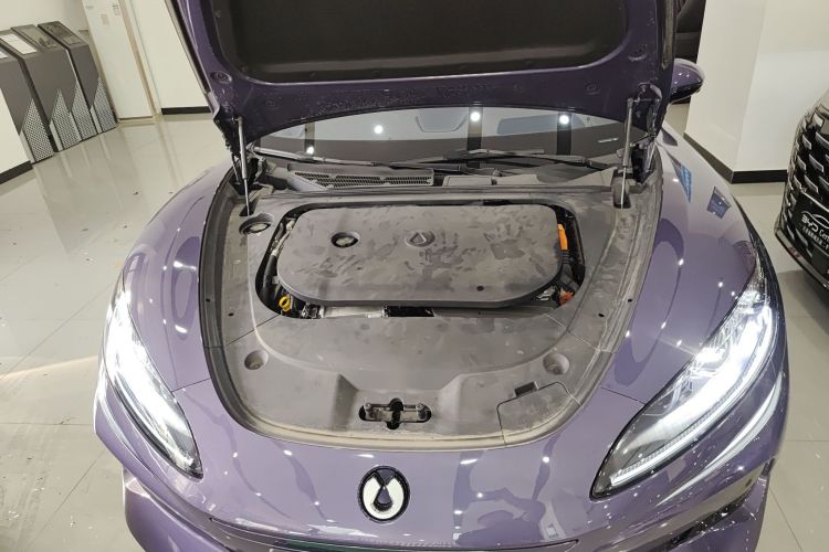 Denza Z9 2024 immagine di auto #20