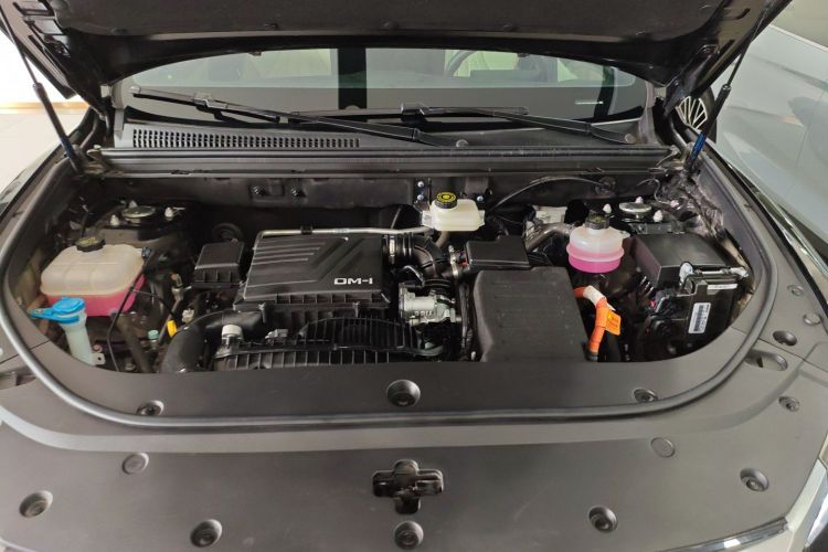 BYD Song Pro New Energy 2024 car image #20