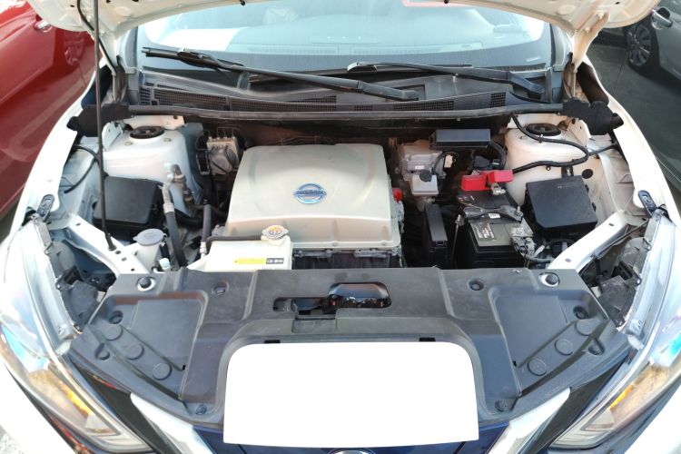 日产 轩逸·纯电 2019 汽车图片 #20