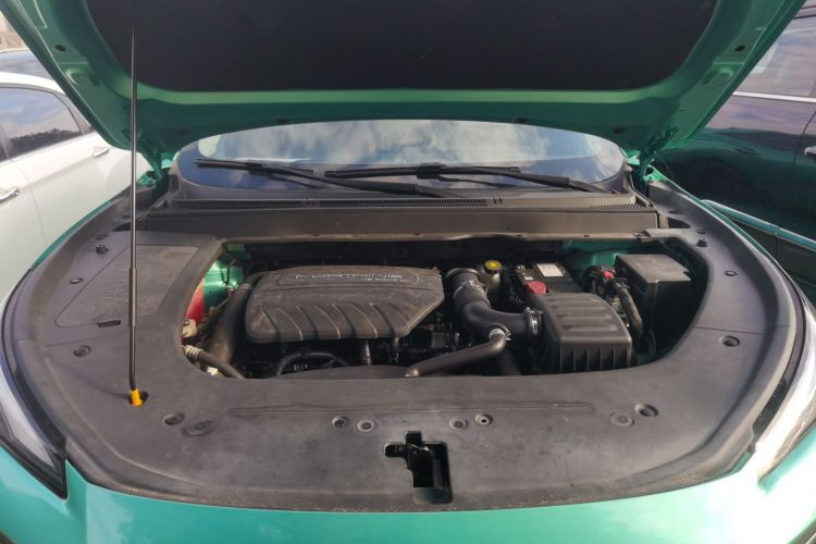 Forthing T5 EVO 2021 car image #20