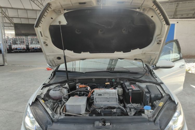 Volkswagen Golf New Energy (Imported) 2020 #20 Volkswagen Golf New Energy (Imported) 2020 immagine di auto #20