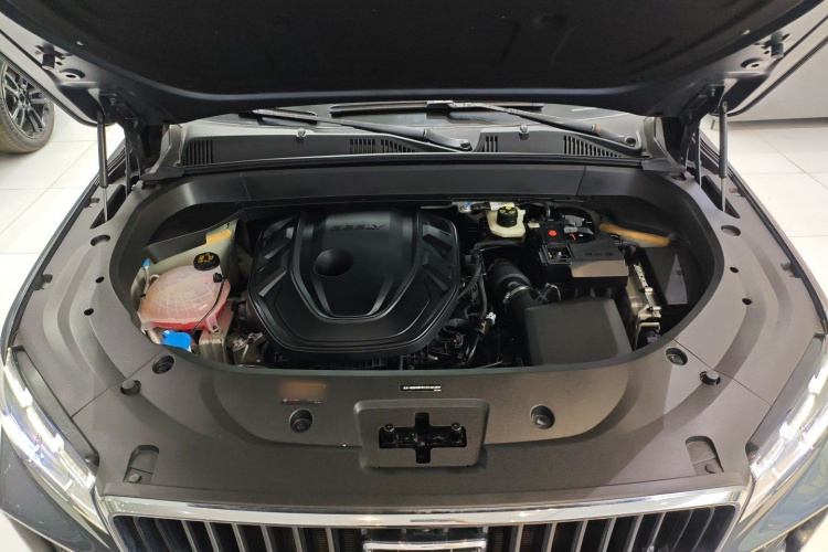 GEELY Monjaro 2024 car image #20