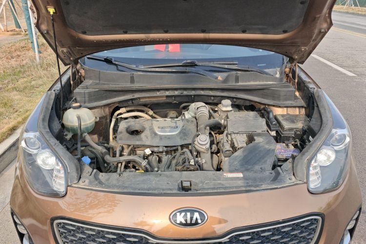Kia KX5 2016 #20 Kia KX5 2016 car image #20