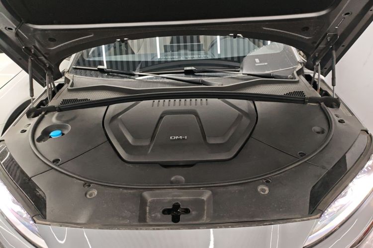 BYD Song Plus New Energy 2023 car image #20