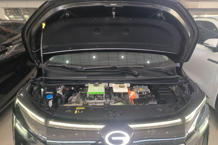 GAC Trumpchi E8 New Energy 2024 car image #20