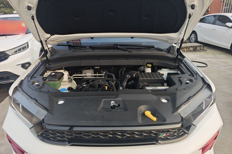 SWM G01FF 2024 #20 SWM G01FF 2024 car image #20