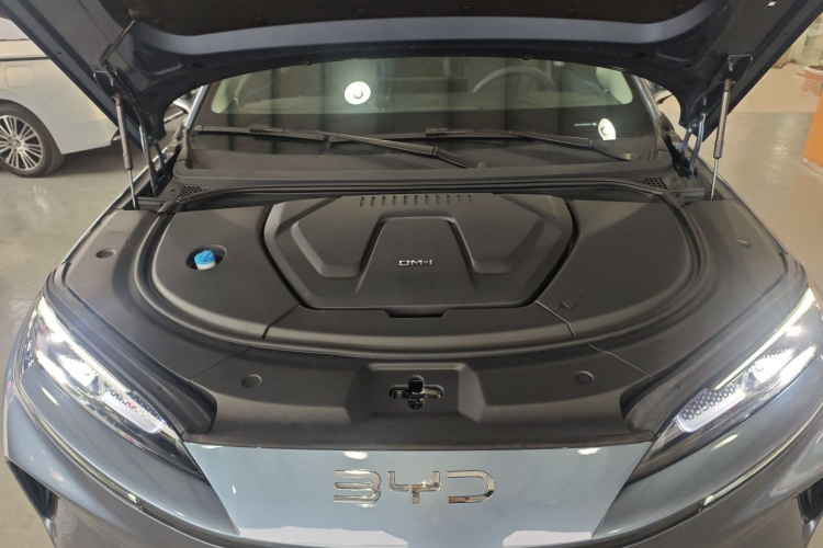 BYD Sea Lion 07 DM-i 2025 car image #20