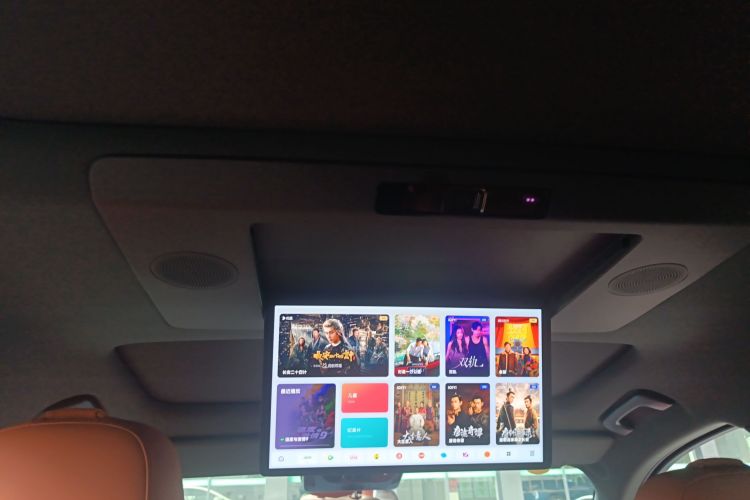 Li L9 2024 imagen de coche #20