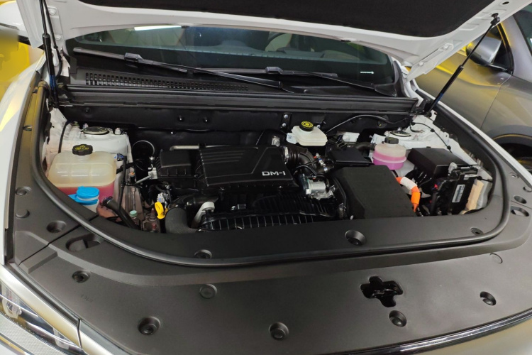BYD Song Pro New Energy 2024 car image #20
