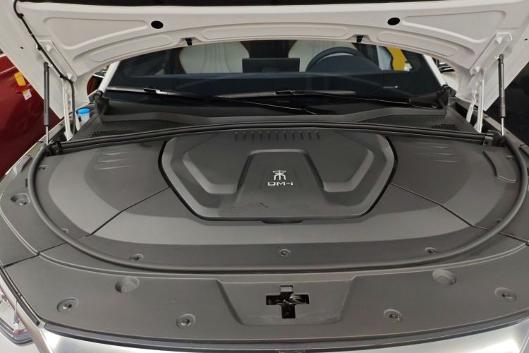 BYD Song Plus New Energy 2022 car image #20