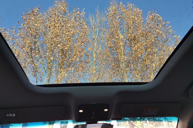 Jetour X90 PLUS 2024 imagem de carro #20