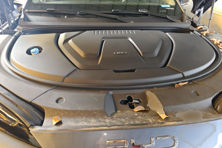 BYD Sea Lion 07 DM-i 2025 car image #20