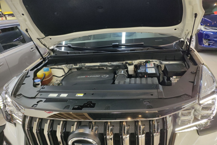 GAC Trumpchi GS8 2021 #20 GAC Trumpchi GS8 2021 car image #20