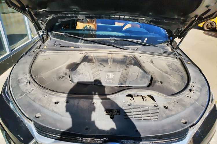 BYD Tang New Energy 2023 car image #20