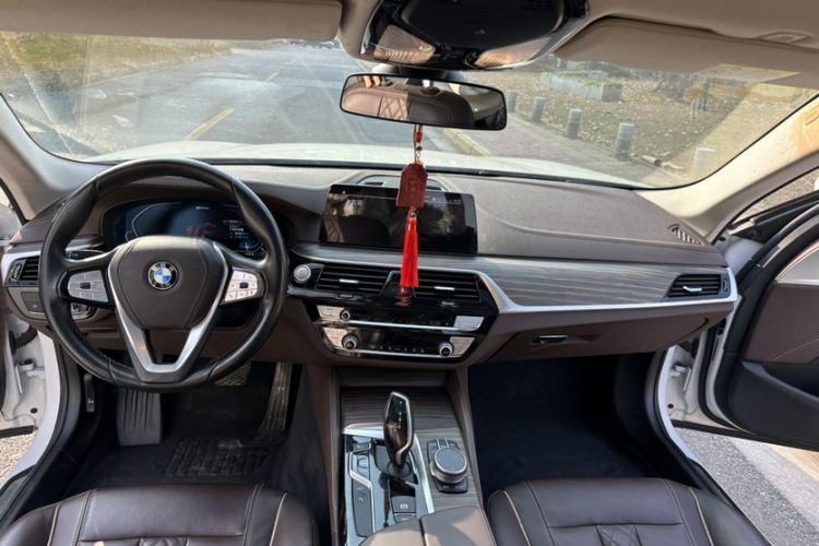 BMW 5 Series New Energy 2020 car image #20