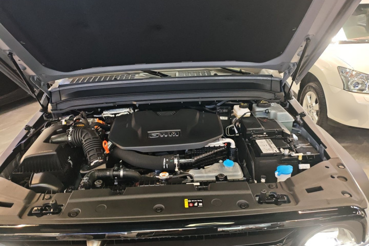 Tank 300 New Energy 2025 car image #20