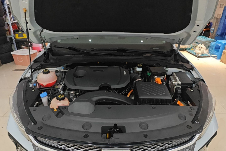 GEELY Emgrand L HiP 2022 car image #20