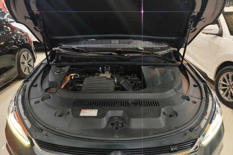 BYD Song New Energy 2019 #20 BYD Song New Energy 2019 car image #20