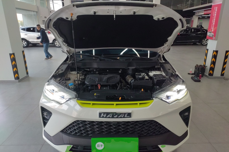 Haval H6S 2022 #20 Haval H6S 2022 image de voiture #20