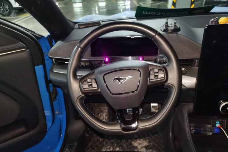 Ford Mustang Mach-E 2022 car image #20