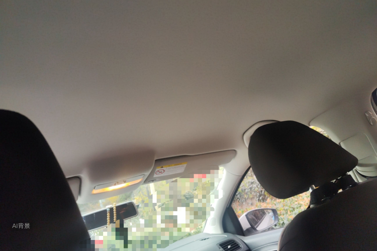 Polo 2016 immagine di auto #20