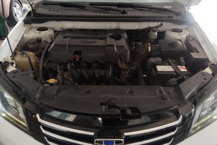 Emgrand 2016 car image #20