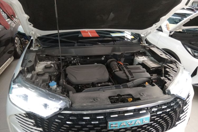 Haval H6 2022 car image #20