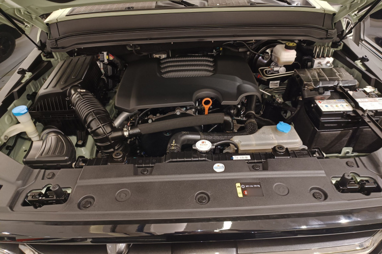 Tank 300 2022 #20 Tank 300 2022 car image #20