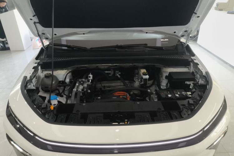 Livan 7 2025 изображение автомобиля #20