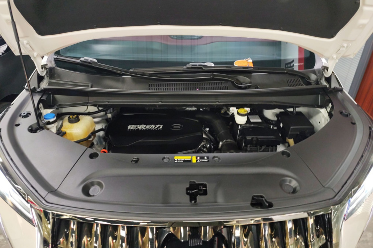 GAC Trumpchi M8 2024 car image #20