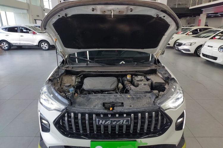 Haval Rabbit 2021 #20 Haval Rabbit 2021 car image #20