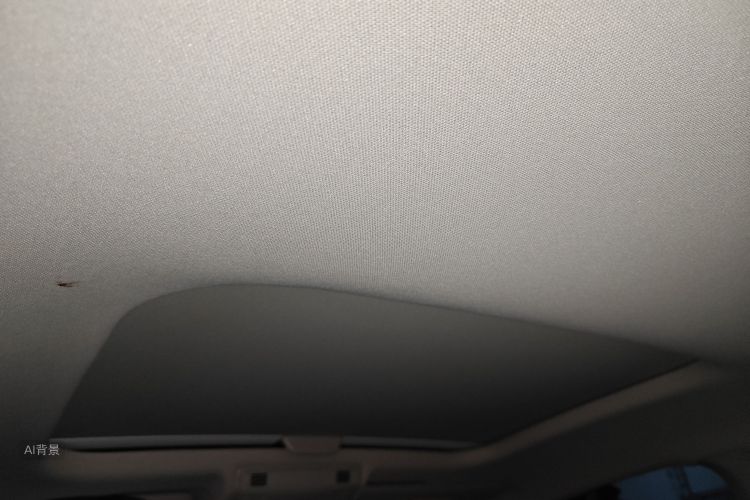 Polo 2020 car image #20