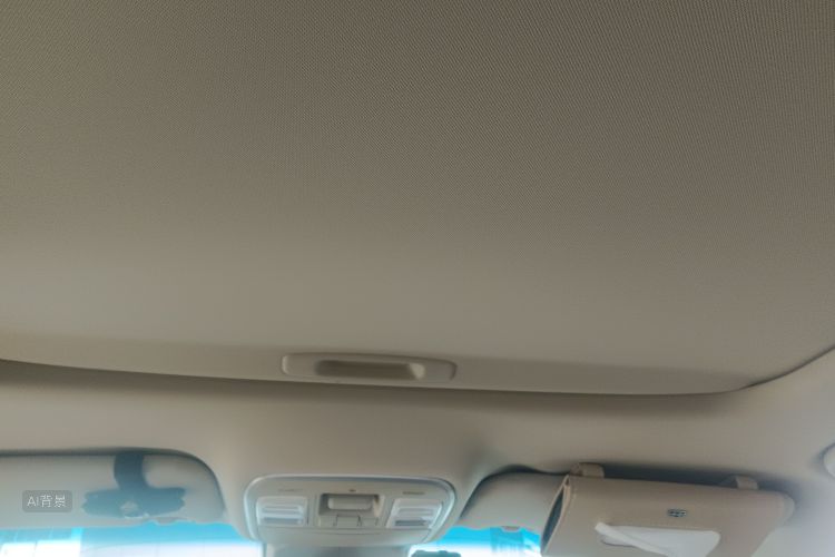 Emgrand GL New Energy 2019 car image #20