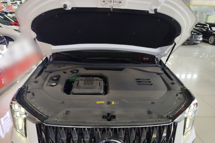 GAC Trumpchi ES9 2024 car image #20