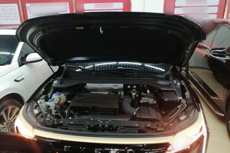 Exceed Yaoguang 2024 car image #20