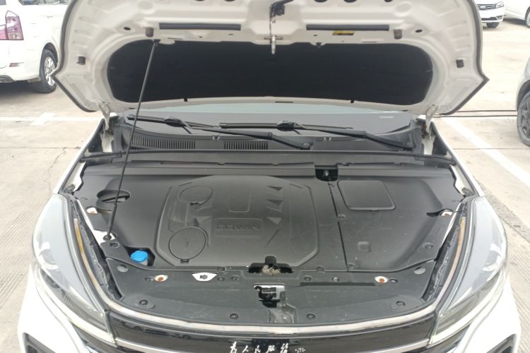 Showjet 2020 car image #20