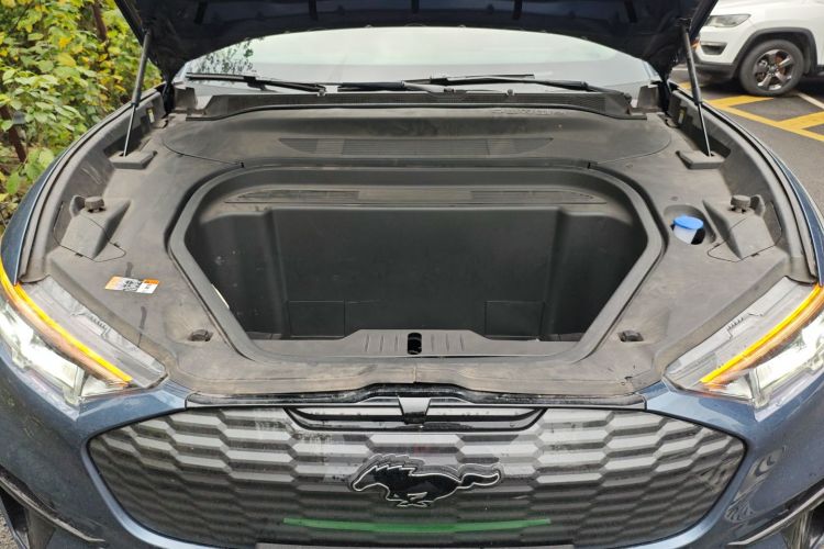 Ford Mustang Mach-E 2022 #20 Ford Mustang Mach-E 2022 car image #20