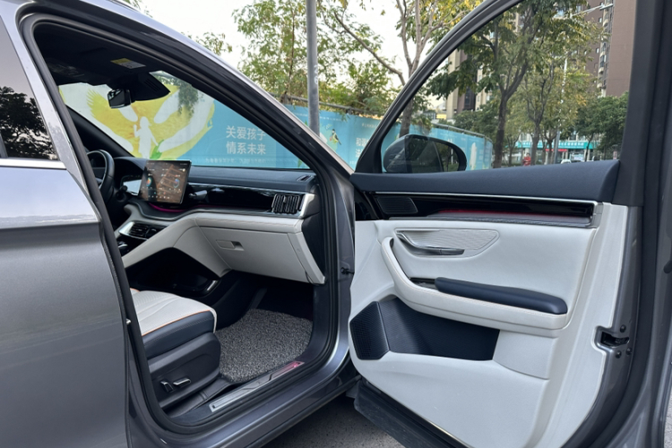 BYD Song Plus New Energy 2022 car image #20