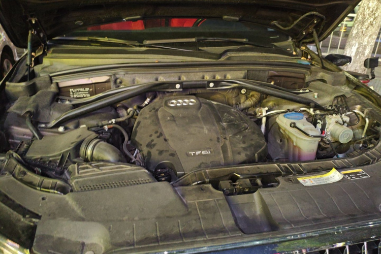 Audi Q5 2016 car image #20