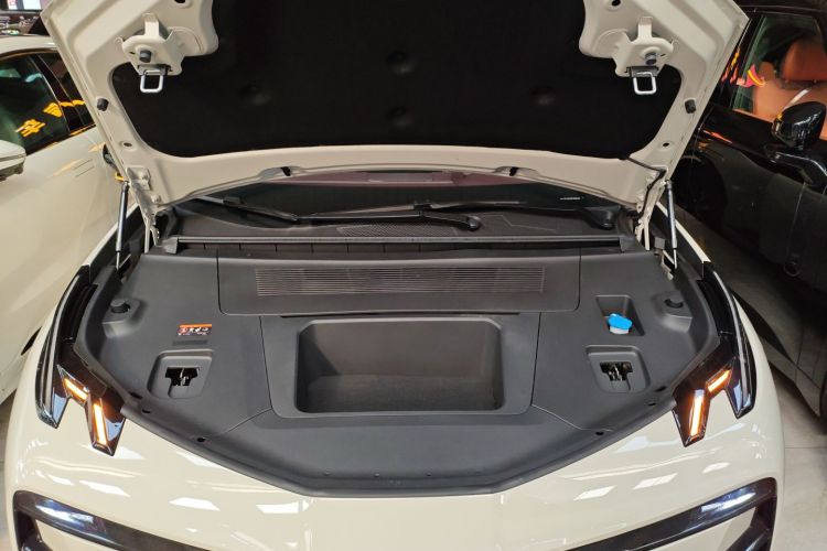 Zeekr X 2024 immagine di auto #20