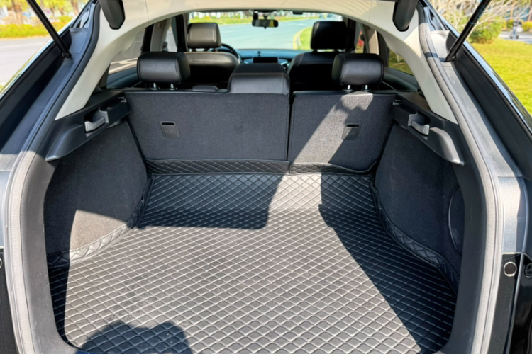 Honda Avancier 2020 car image #20