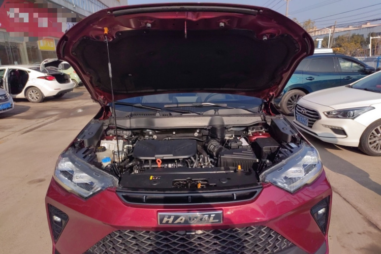 Haval H6S 2023 car image #20