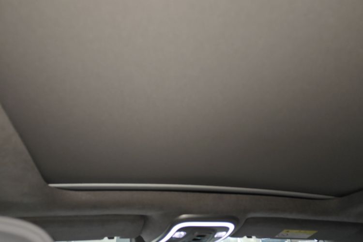 Denza N8 2023 imagen de coche #20