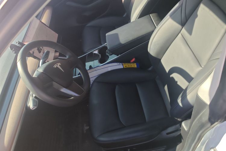 特斯拉 Model 3(进口) 2019 汽车图片 #20