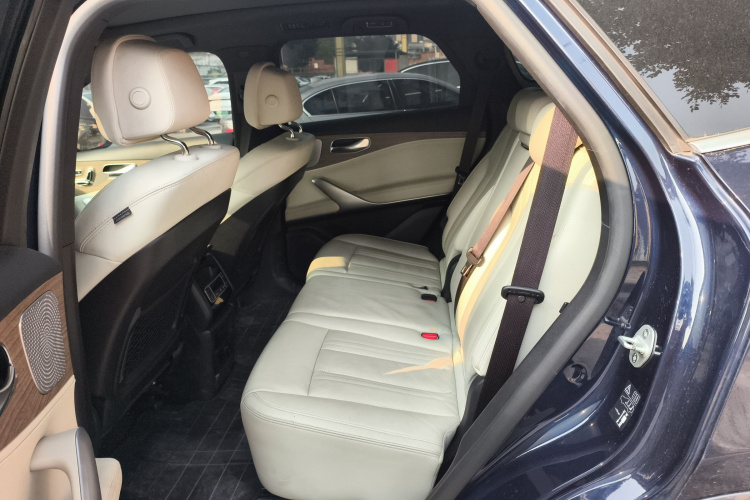 Denza X 2020 car image #20