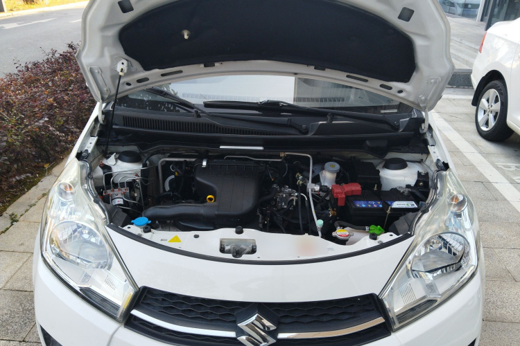 Suzuki Alto 2016 car image #20