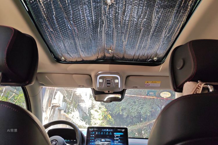 BYD Tang New Energy 2019 car image #20