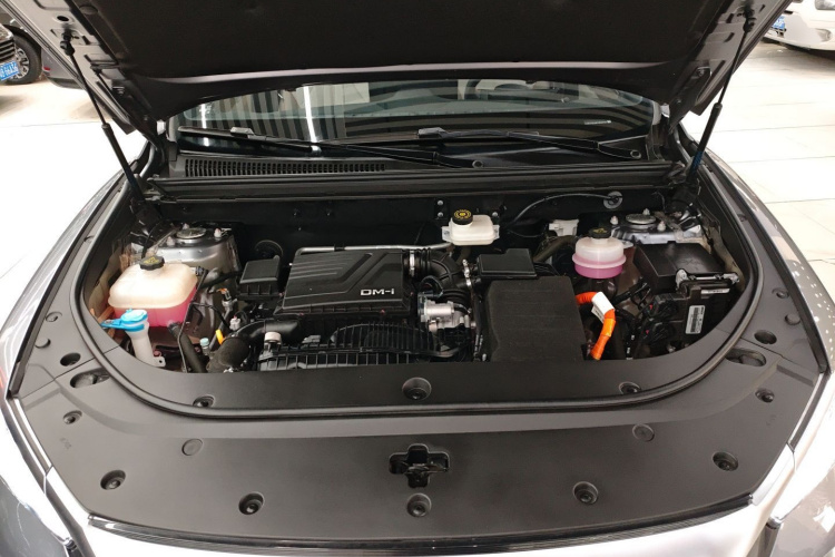 BYD Song Pro New Energy 2024 car image #20